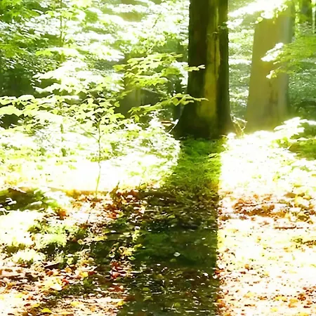 Frankenglueck *